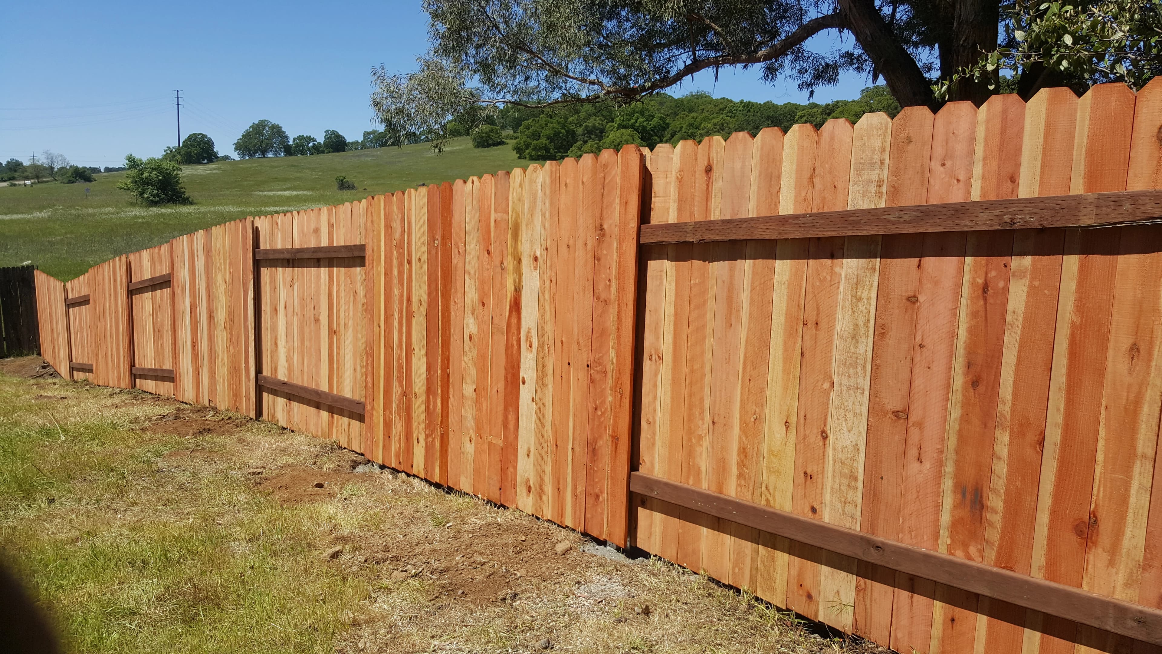 Redwood Fences